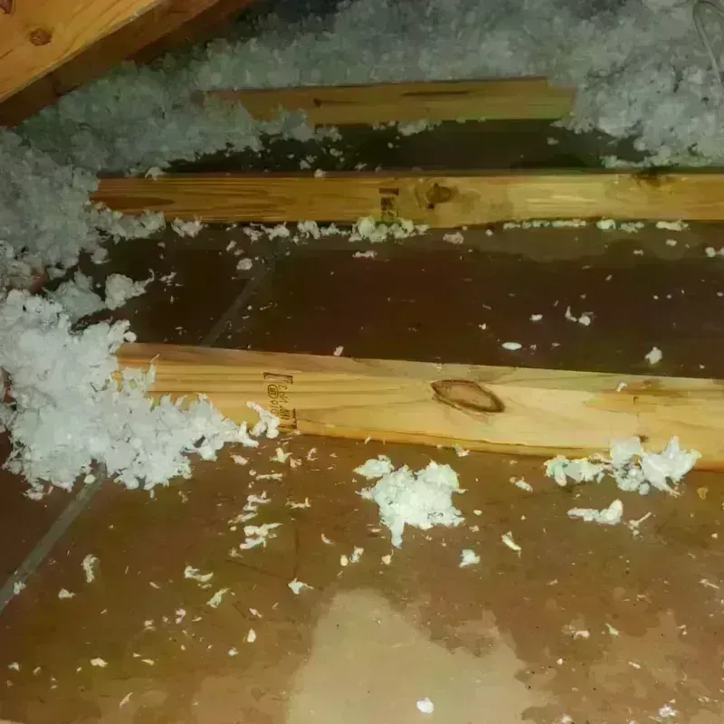 Attic Water Damage in Fairview, PA